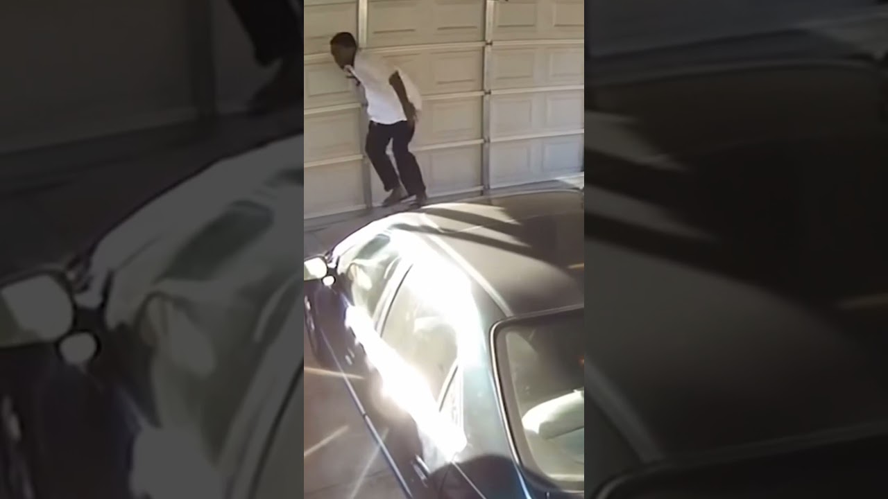 Dog Prevents  Stranger From Entering Garage | Guard Dog Prevents Robbery #animals #viral #usa #fyp