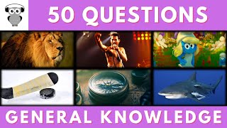 General Knowledge Quiz Trivia Wild Lion, Queens Album, Smurfette, Ice Hockey, Compass, Shark