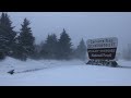 Blizzard Conditions on Roan Mountain - January 3, 2022
