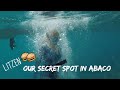 Sailing to Secret and Undiscovered Blue Holes in the Bahamas (E.66 Sailing w/the Litzenbergers)