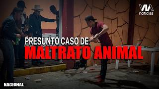 Denuncian presunto caso de maltrato animal durante una fiesta en Magdalena, Jalisco