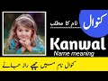 Kanwal (کنوال) Meaning of Muslim Girl Name Kanwal - Islamic Baby Girl Name Kanwal Meaning | Urdusy