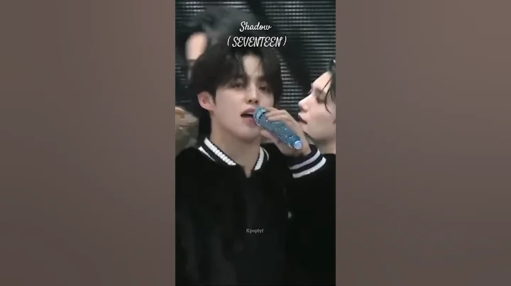 Scoups and Mingyu Part in Shadow Hits Different | Seventeen | #shorts