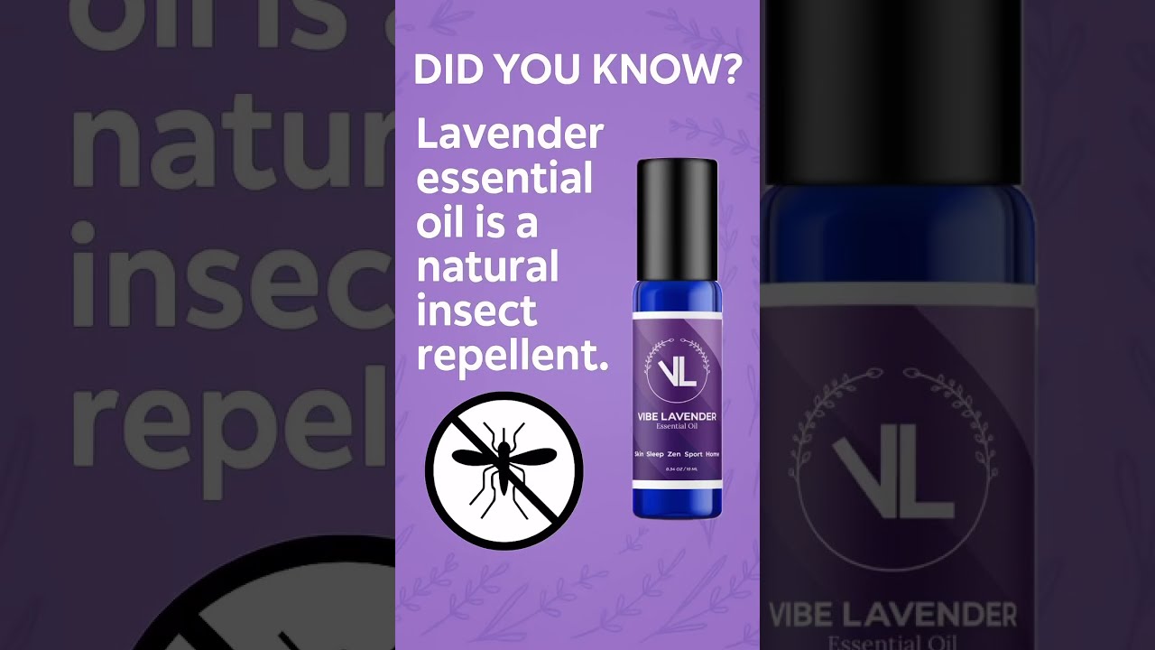 Natural Bug Repellent That Actually Works Lavender Essential Oil By Vibe 