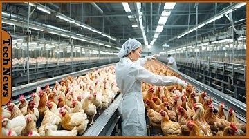 Top Mesmerizing Food Processing Technology Videos | Level 👉4