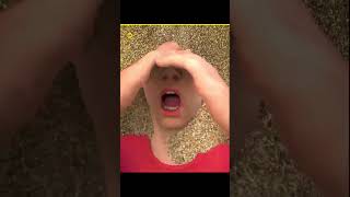 "What Happens If You Fall Into a Grain Bin? 😨 #shorts #facts #grain