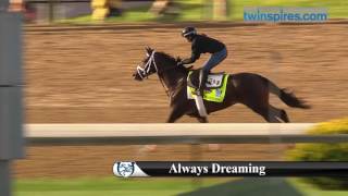 Always Dreaming 2017 Kentucky Derby Hopeful 4.27