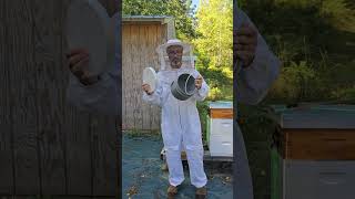 I Designed & 3D Printed My Own Bee Feeder | First Hive Installation