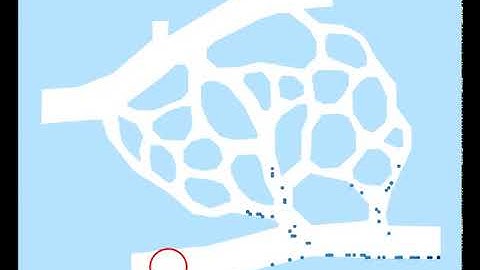 Vascular network II, task 1, ICM planner (RL), #steps=1079