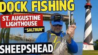 Dock Fishing at St. Augustine Lighthouse (Saltrun) | Sheepshead Action! Net Worth