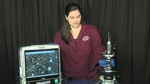 The Electron Microscope in Failure Analysis