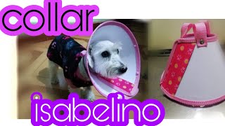 COLLAR ISABELINO TALLAS para Perros y Gatos | ANIMALTIME
