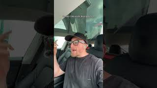 So Schützt Du Deinen Hund Wirklich Im Auto