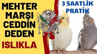 MEHTER MARŞI CEDDİN DEDEN ISLIK 3 SAAT  ISLIKLA PAPAĞAN VE MUHABBET KUŞU ŞARKILARI