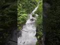 Waterfall Travel Shortvideo Shortsfeed Shortsvideo Shorts Love Youtubeshorts Youtube Like