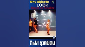Why Objects Look Bigger or Smaller | Amazing Optical Illusion Explained