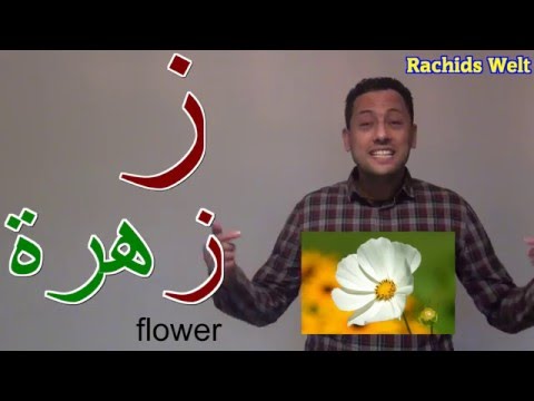 تعليم الحروف الهجائية العربية للأطفال كاملة نطق 28 حرف بدون موسيقى    