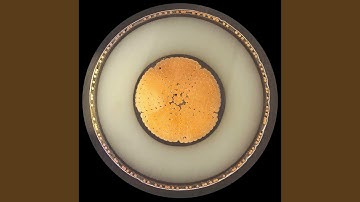 CO.LAB 012 D (Original)