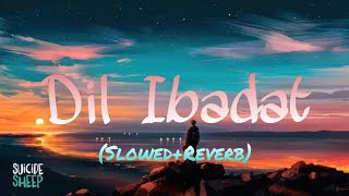 Dil Ibadat' (Slowed+Reverb).../ A beautiful romantic song by KK.../ Feel in HQ music...
