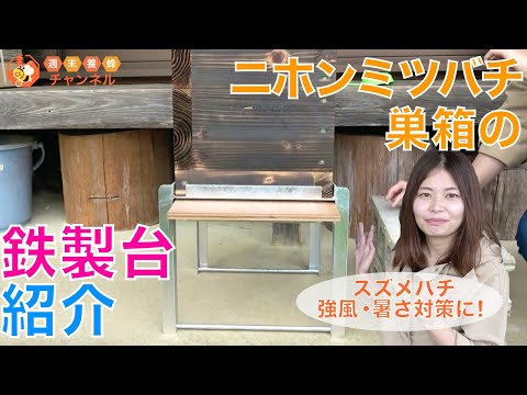 日本蜜蜂巣箱台　ヤマチャン syumatsuyoho_s5