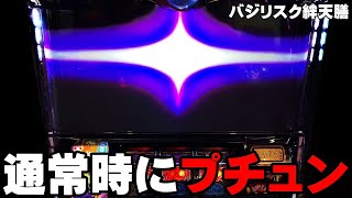 【バジリスク絆2 天膳】通常時にプチュンしました・・・〔バジリスク絆2〕〔パチスロ/スロット/スマスロ/天膳〕