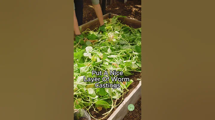 Revive Your Garden Beds in Just 2 Weeks