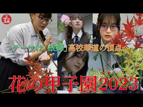 【花の甲子園2023】高校華道の頂点へ!笑いあり涙ありの華やか生花決戦!