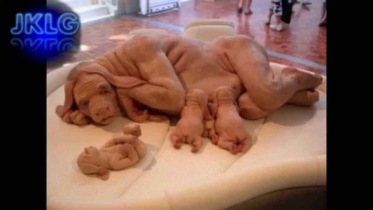 FAMOSAS IMAGENES famosas imagenes:
