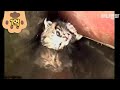 구해줘 ㅣ "SAVE ME!" Rescue This Kitten Stuck In Narrow Pipe With No Exit