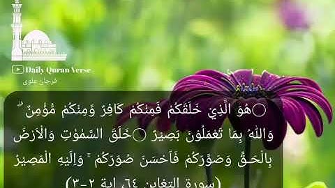#daily_quran_verse | (At-Taghabun 64: Verse 2-3) | (سورة التغابن ٦٤، اية ٢-٣)