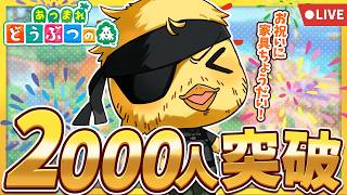 【 あつ森 / 雑談 】登録者2000人突破！記念に私に家具ください！【 参加型 】