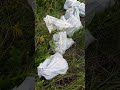 Металлокоп у жд (литейный цех отходы)