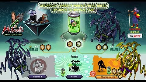 Xenarach Correct Parent Cross Breed - Upgrade Bronze to Silver Star