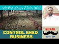 Poultry Farming in Pakistan 2022 | Is Control Shed a Profitable Business in Pakistan | Potar jutt da