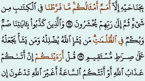 Surah Al-An'aam Full |Sheikh Shuraim With Arabic Text (HD)|سورة الأنعام|3M views5 years ago