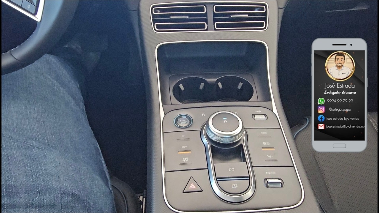 CONSOLA DEL BYD KING