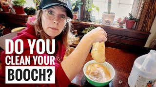 Kombucha | Continuous Brew Maintenance Routine
