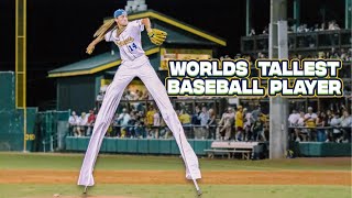 Worlds Tallest Baseball Player Highlights | Savannah Bananas #Stilts