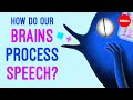 How do our brains process speech  gareth gaskell