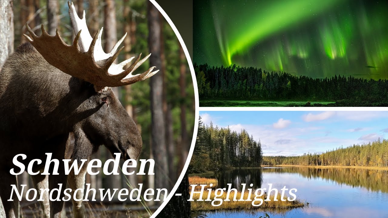 Schweden, Sverige - Highlights der Herbstreise, Nordlicht, Polarkreis, Rentiere, Elche, Jockfall