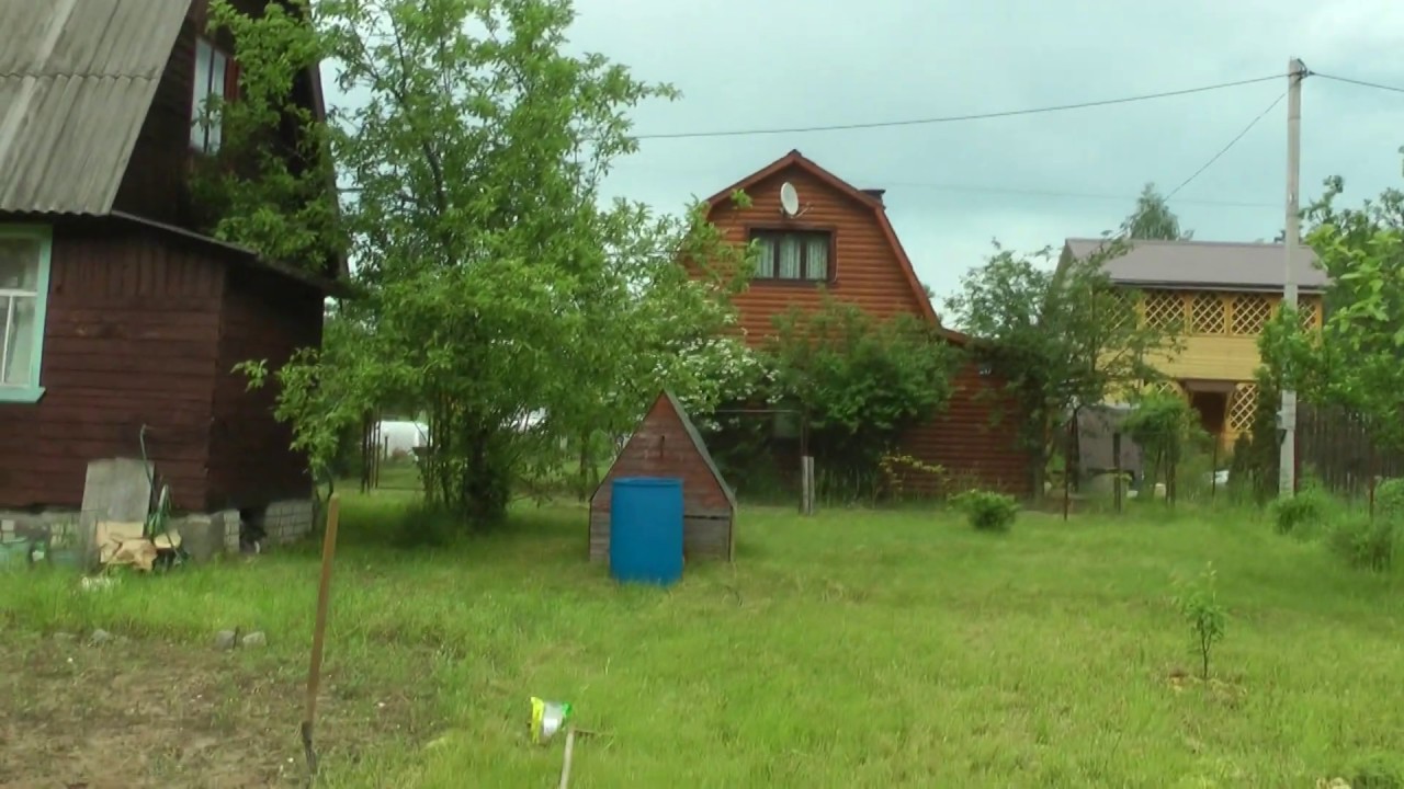 Лес дача ока