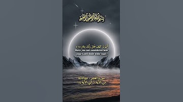سورة الفجر، من [الآية ١ إلى الآية ١٤] تلاوة خاشعة بصوت القارئ الشيخ محمد الفقيه