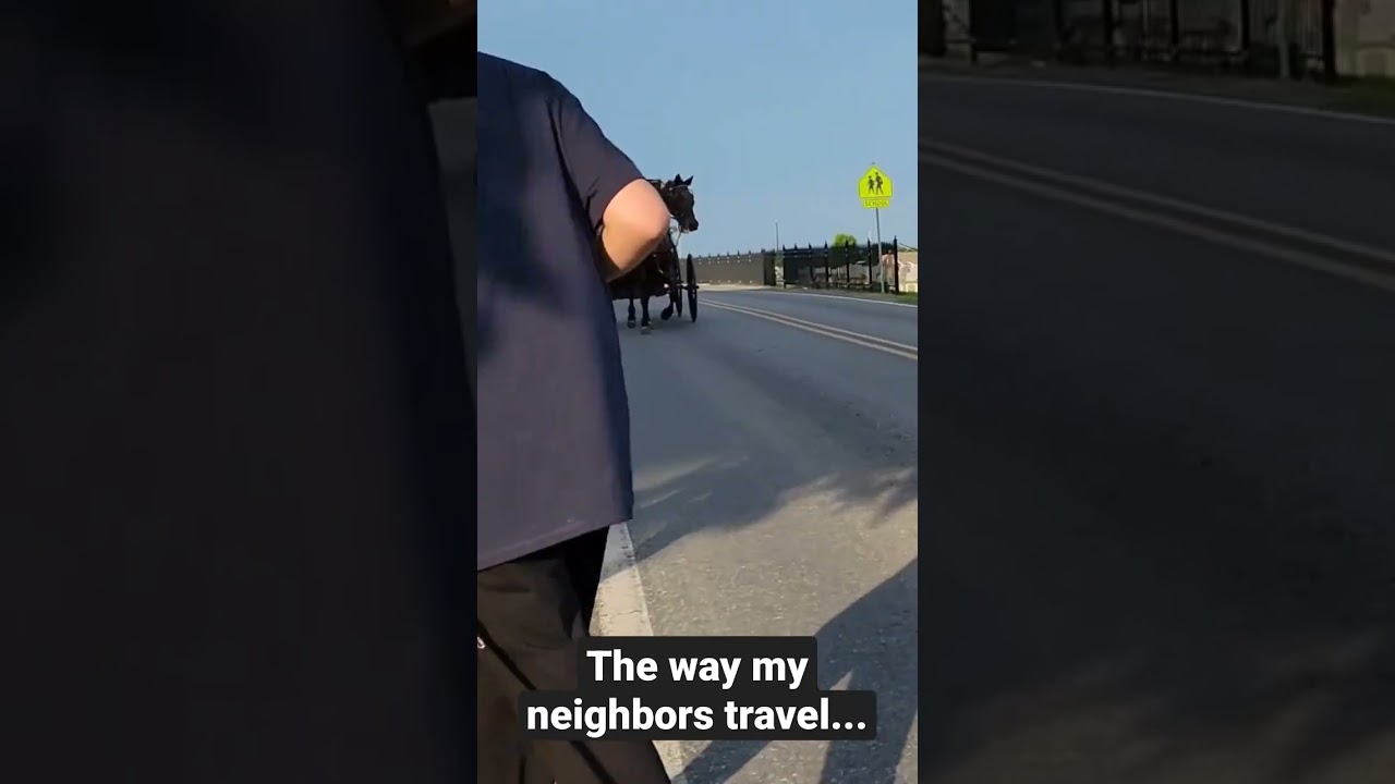 Amish Travel Secrets | How My Neighbors Get Around 