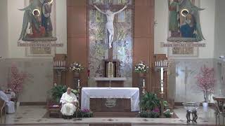 St. Dominic Parish Delhi Cincinnati, Ohio Live Stream