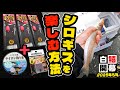 【デカギス接岸】ダイレクト感爆上がりの仕掛けでシロギスライトゲーム（2025年5月）