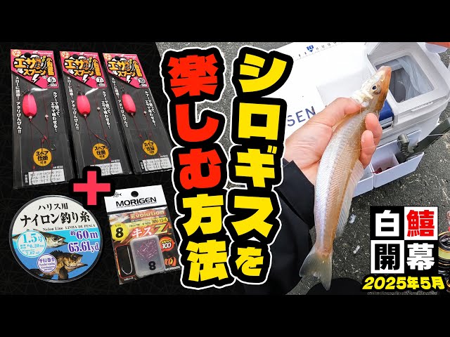 Light game] This tackle will definitely improve the direct feeling