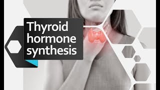 Thyroid hormone biosynthesis