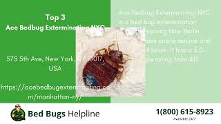 Top 3 Bed Bug Removal in New Berlin