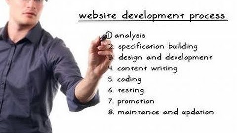 website designing in visakhapatnam - pappu info solutions pvt  ltd vizag