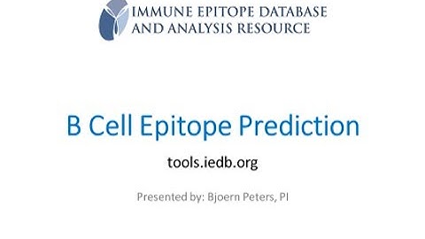 2019 User Workshop – 2.5 – B Cell Epitope Prediction